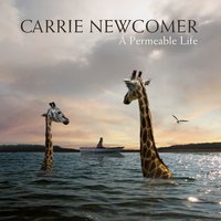 Carrie Newcomer