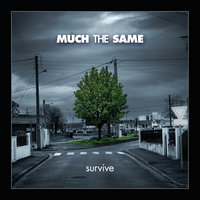 Skeletons - Much The Same
