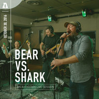 Bear Vs. Shark