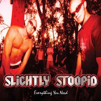 Collie Man - Slightly Stoopid