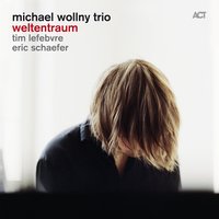 Little Person - Michael Wollny, Tim Lefebvre, Eric Schaefer