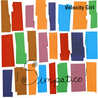 Labrador - Velocity Girl