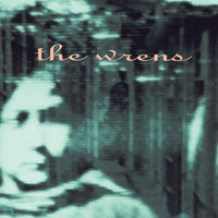 6 - The Wrens