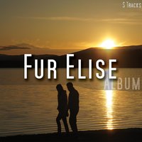 Ave Maria - Fur Elise