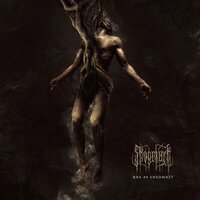 Disappearance - Skogmark