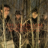 Man in White - The Stranglers