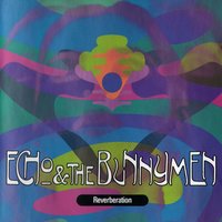Senseless - Echo & the Bunnymen