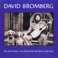 Helpless Blues - David Bromberg