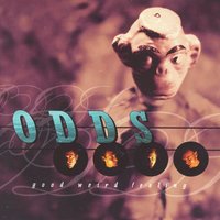 Satisfied - Odds