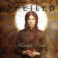 IN THE NIGHT - Feiled
