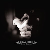Shake - Rose Cousins