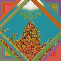 Chakra Sharks - Morgan Delt