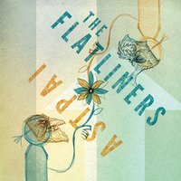 Southwards - The Flatliners