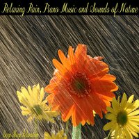 Rainforest Slumber - Deep Sleep Relaxation