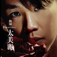 Too Beautiful - David Tao