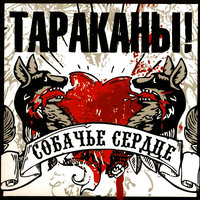 В день, когда я сдался - Тараканы!