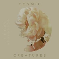 Cosmic Creatures - Anadel