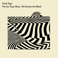 The Sun Goes Down, the Streets Are Black - Timid Tiger