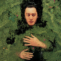 Angora - Alain Bashung