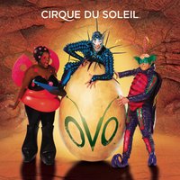 Banquete - Cirque Du Soleil