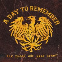 Show 'Em the Ropes - A Day To Remember