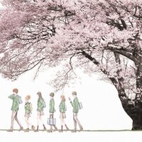 Sakura - KOBUKURO