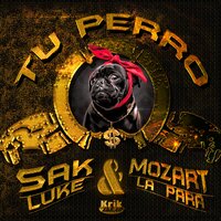 Mozart La Para