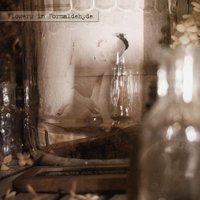 Do You Know My Name? / What Has Happened While We Slept? - Sopor Aeternus & The Ensemble Of Shadows