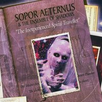 Never Trust The Obvious - Sopor Aeternus & The Ensemble Of Shadows
