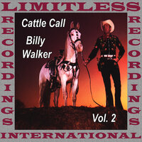 Wild Colonial Boy - Billy Walker