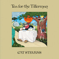Can This Be Love? - Cat Stevens