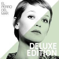 Here Comes That Feeling - El Perro Del Mar