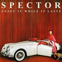 Twenty Nothing - Spector
