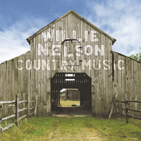 Gotta Walk Alone - Willie Nelson