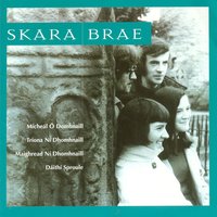 Cad É Sin Don Té Sin? - Skara Brae