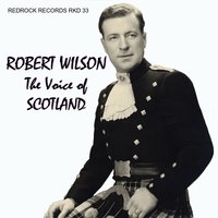 So Deep Is The Night - Robert Wilson