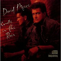 Higher Ground - David Meece