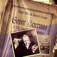 Something Wicked This Way Comes... - Sopor Aeternus & The Ensemble Of Shadows