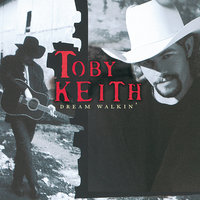 Double Wide Paradise - Toby Keith