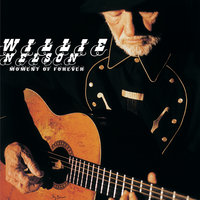 Takin' On Water - Willie Nelson