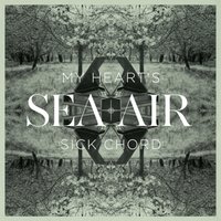 Do Animals Cry? - SEA + AIR