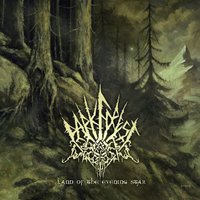 Vesperia - Dark Forest
