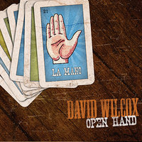 Not from Here - David Wilcox