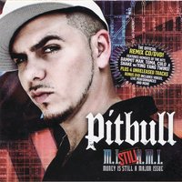 Shake Remix - Ying Yang Twins, Pitbull, Elephant man