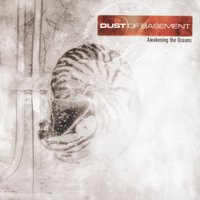 The Dust Of Basement