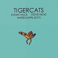 Stevie Nicks - Tigercats