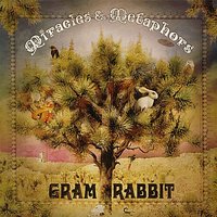 They'Re Watching - Gram Rabbit