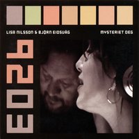 Ändå faller regnet - Lisa Nilsson