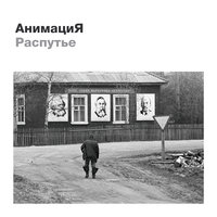 Журавли - АнимациЯ