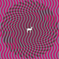 Spring Hall Convert - Deerhunter